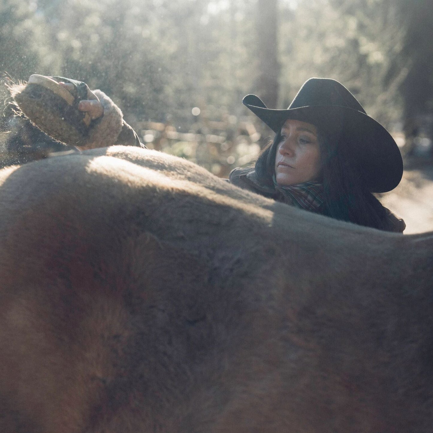 Corral 4X Cowboy Hat