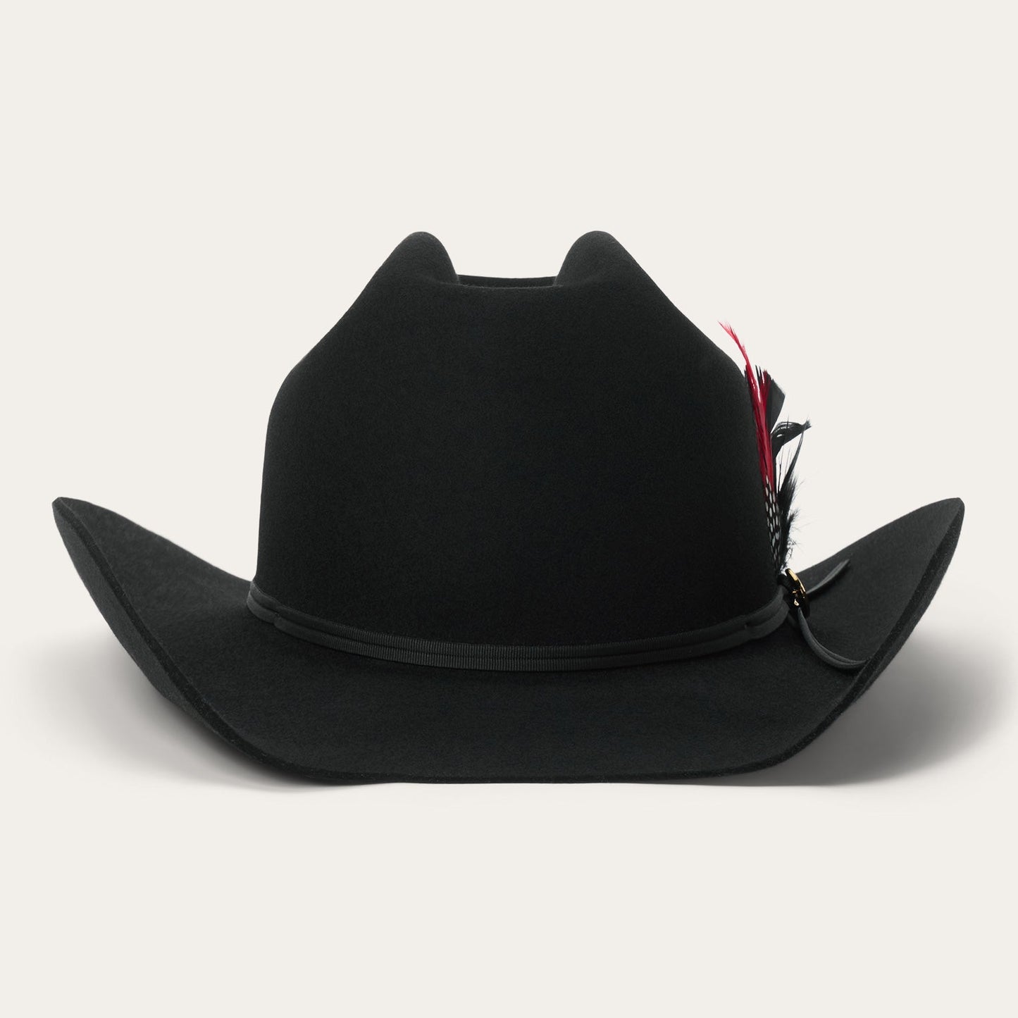 Regal Range 6X